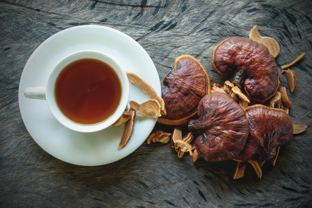 reishi przeciwskazania